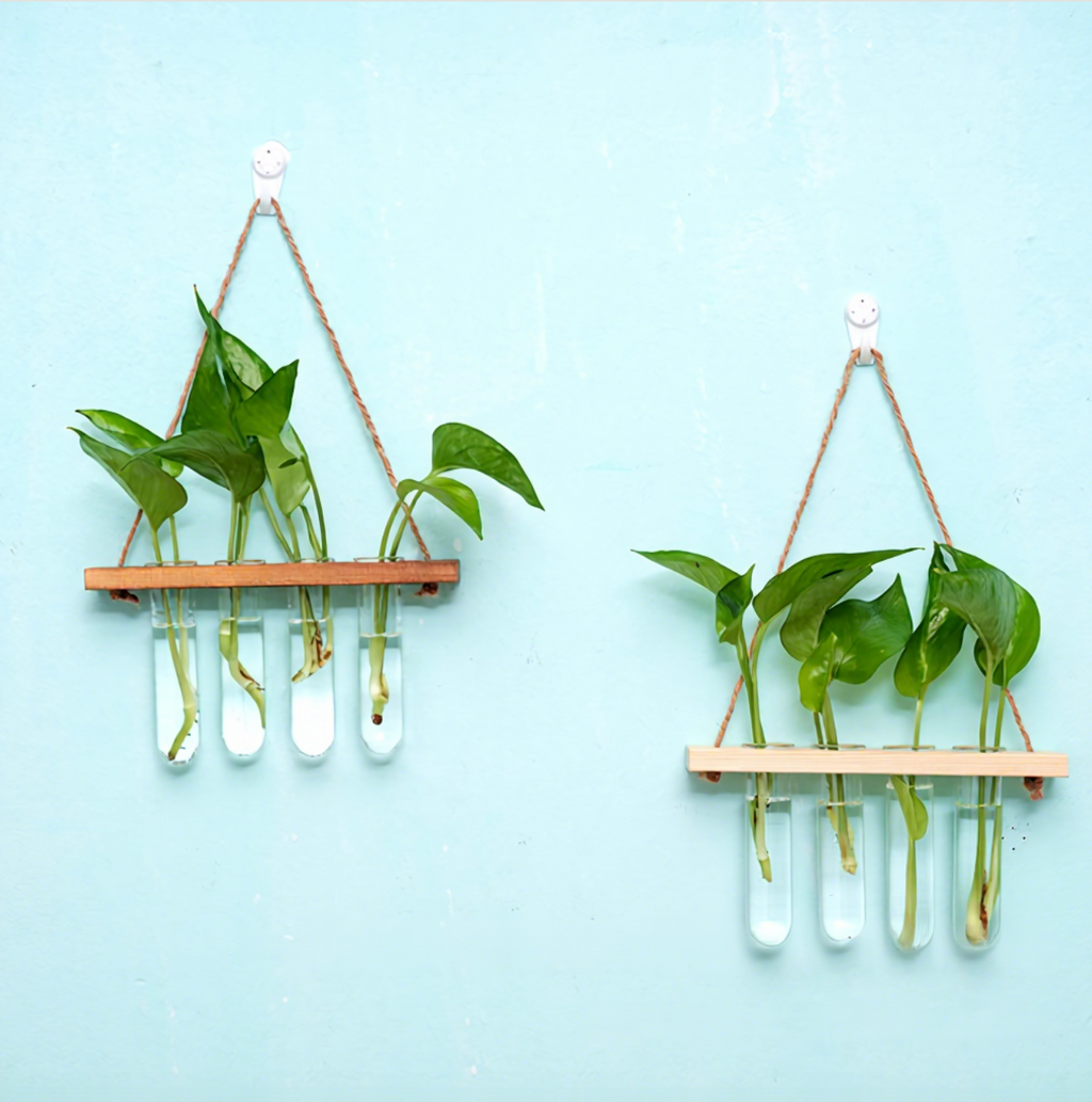 Double-Tier Hanging Glass Vase