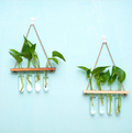 Double-Tier Hanging Glass Vase