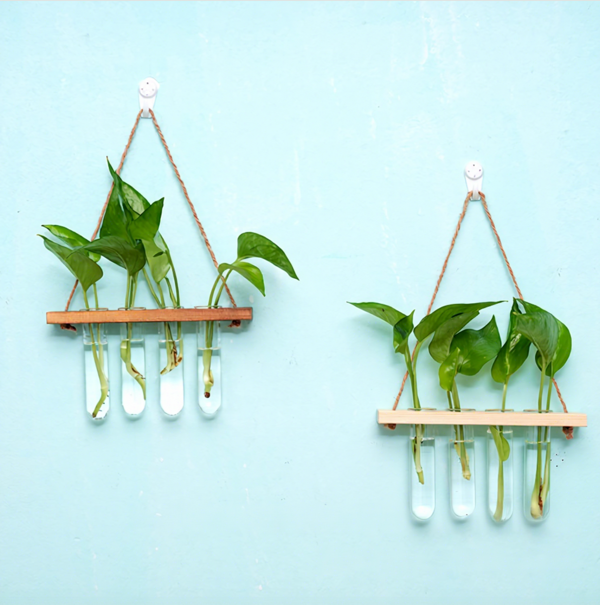 Double-Tier Hanging Glass Vase